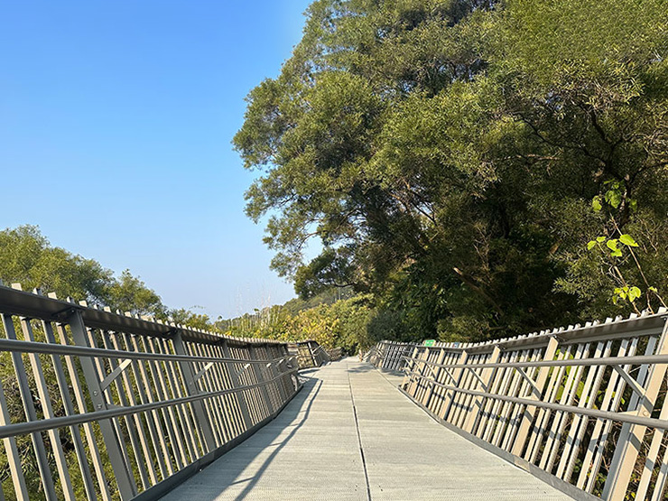 中国 福州 市 森林 歩道